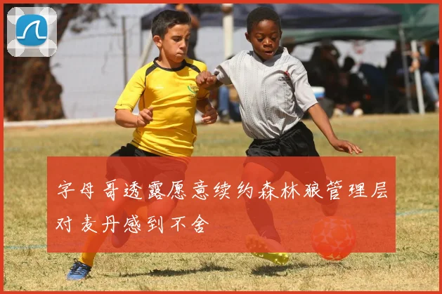 字母哥透露愿意续约森林狼管理层对麦丹感到不舍